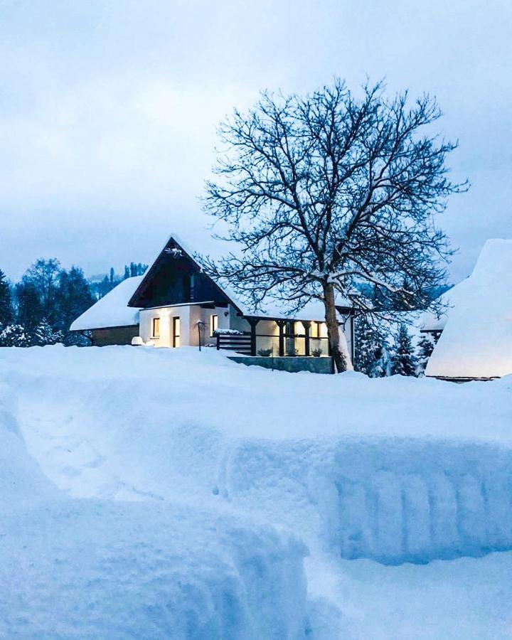 Malinowa Osada Villa Wisła Exteriör bild