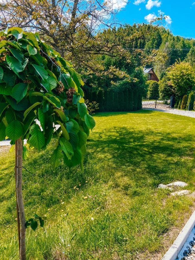 Malinowa Osada Villa Wisła Exteriör bild