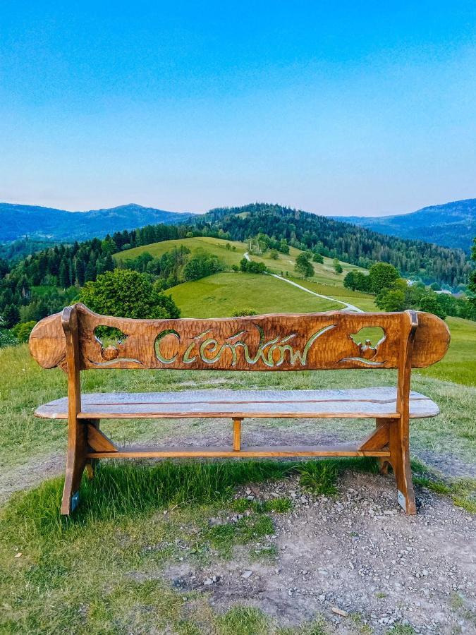 Malinowa Osada Villa Wisła Exteriör bild